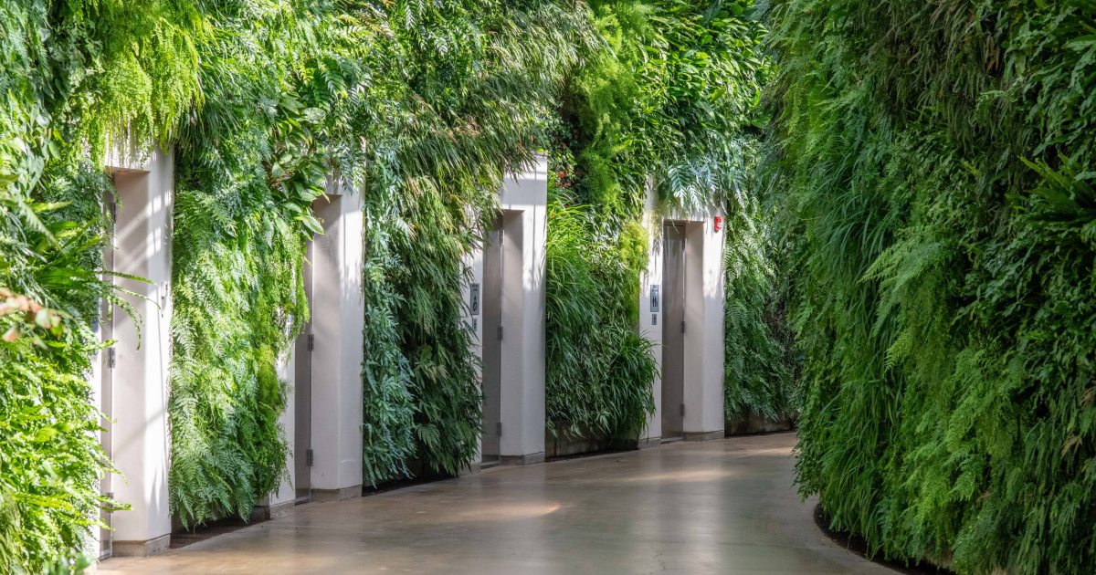 Green Wall Longwood Gardens